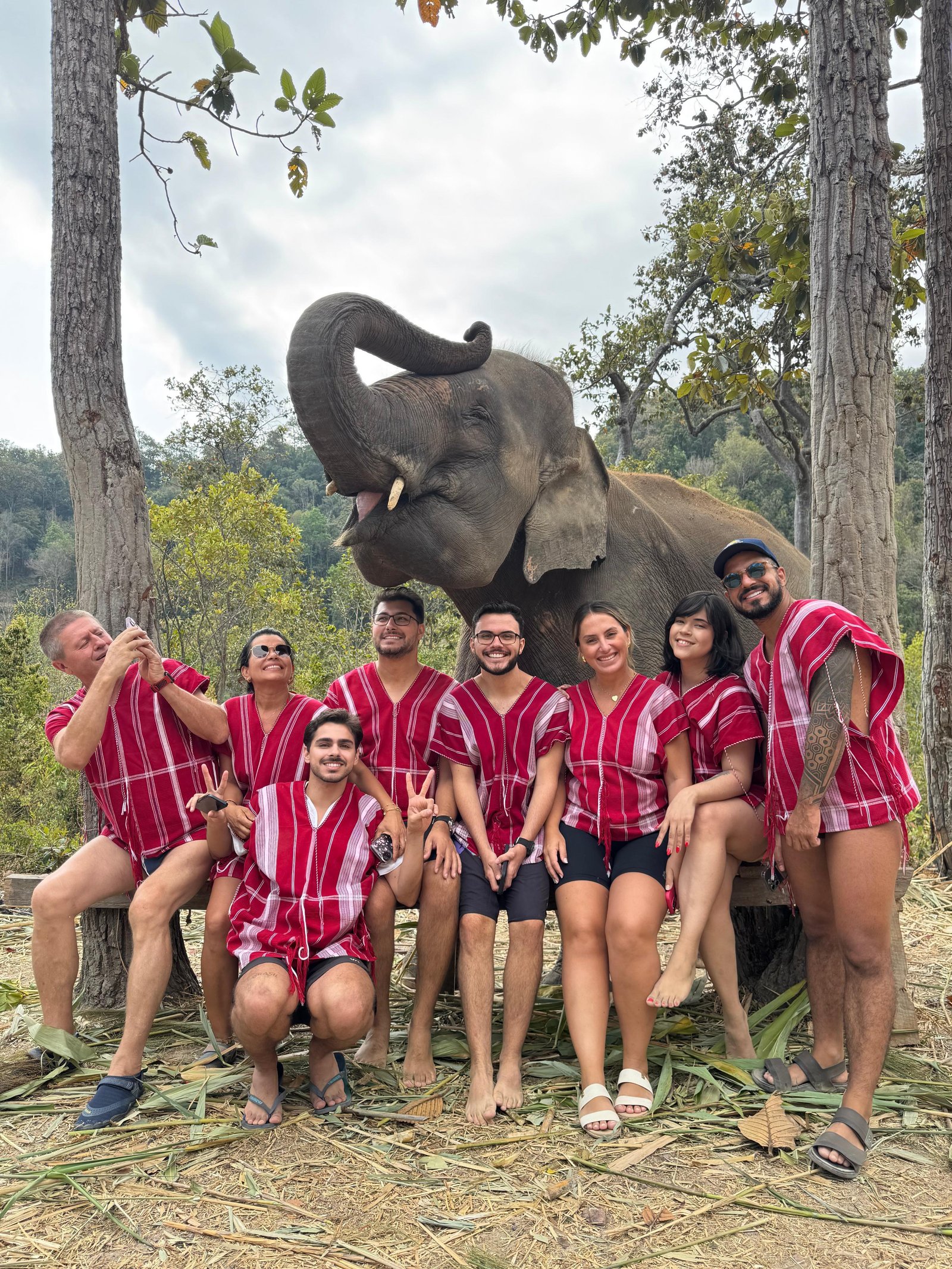 Grupo com elefantes Tailândia